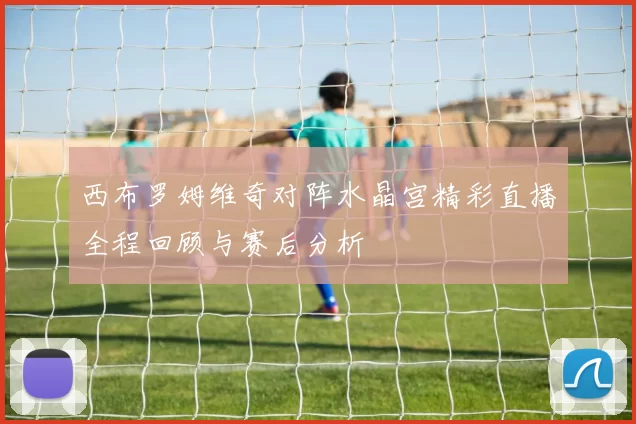 西布罗姆维奇对阵水晶宫精彩直播全程回顾与赛后分析
