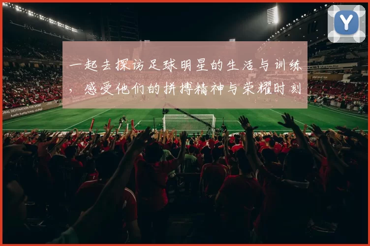 一起去探访足球明星的生活与训练，感受他们的拼搏精神与荣耀时刻