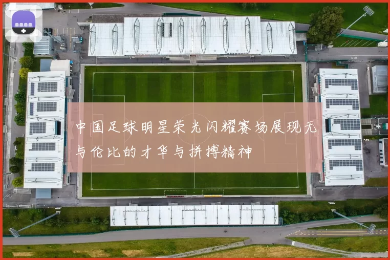 中国足球明星荣光闪耀赛场展现无与伦比的才华与拼搏精神