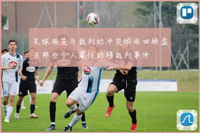 足球明星与裁判的冲突瞬间回顾盘点那些令人震惊的踢裁判事件