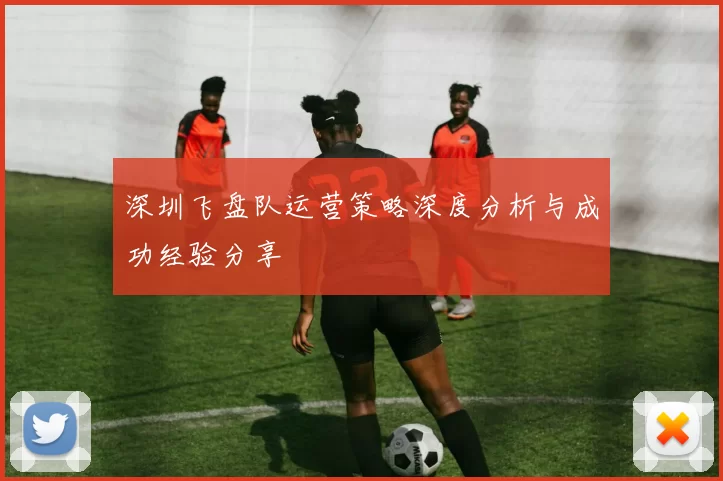 深圳飞盘队运营策略深度分析与成功经验分享