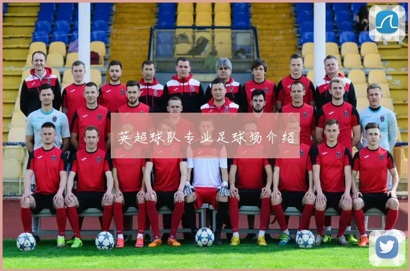 英超球队专业足球场介绍