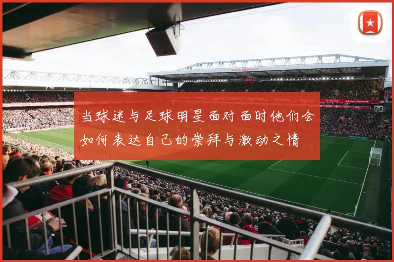 当球迷与足球明星面对面时他们会如何表达自己的崇拜与激动之情