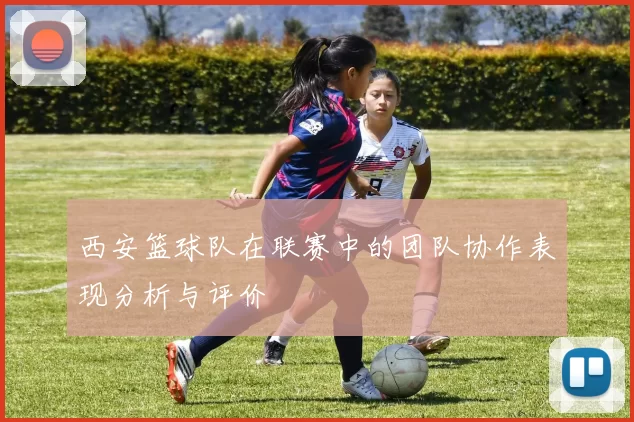 西安篮球队在联赛中的团队协作表现分析与评价