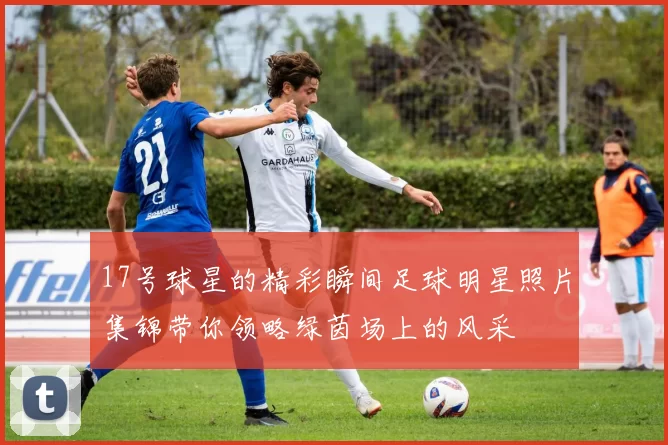 17号球星的精彩瞬间足球明星照片集锦带你领略绿茵场上的风采