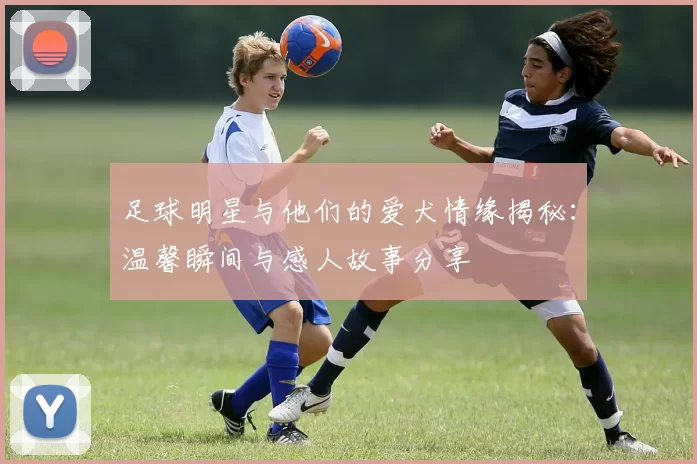 足球明星与他们的爱犬情缘揭秘：温馨瞬间与感人故事分享