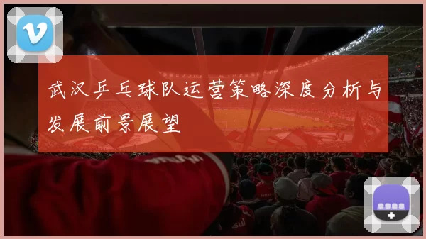 武汉乒乓球队运营策略深度分析与发展前景展望