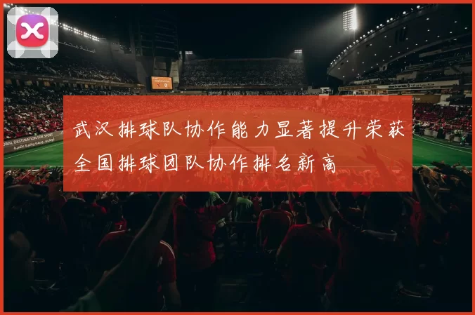 武汉排球队协作能力显著提升荣获全国排球团队协作排名新高