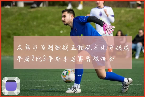 灰熊与马刺激战正酣双方比分战成平局2比2争夺季后赛晋级机会
