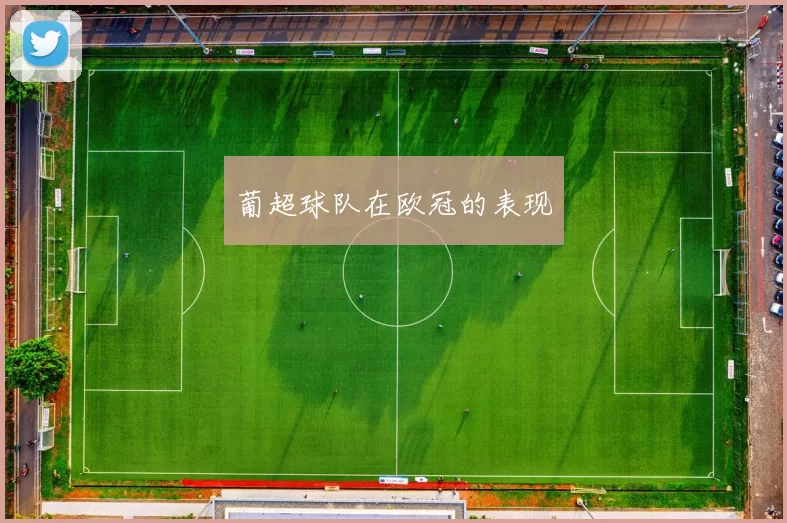 葡超球队在欧冠的表现