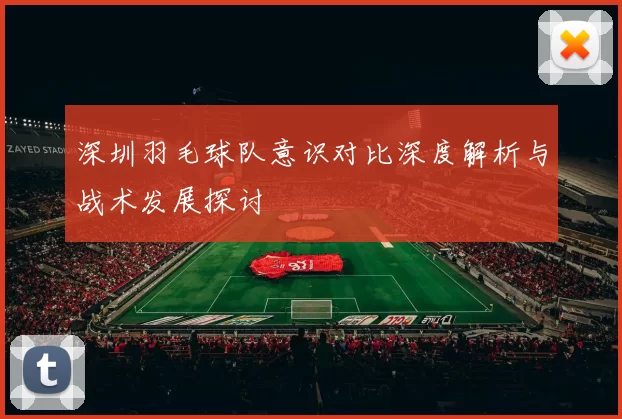 深圳羽毛球队意识对比深度解析与战术发展探讨