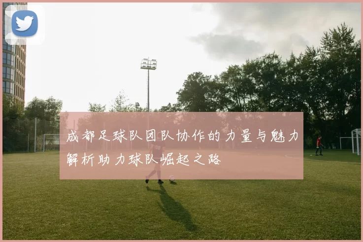 成都足球队团队协作的力量与魅力解析助力球队崛起之路