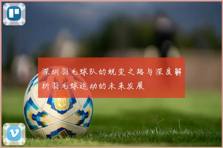 深圳羽毛球队的蜕变之路与深度解析羽毛球运动的未来发展