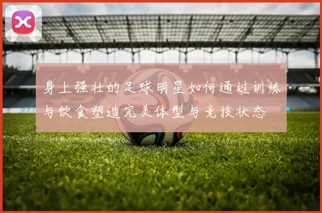身上强壮的足球明星如何通过训练与饮食塑造完美体型与竞技状态