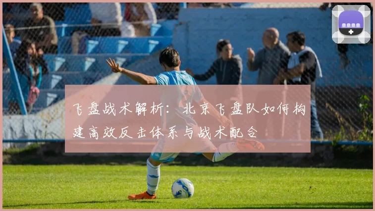 飞盘战术解析：北京飞盘队如何构建高效反击体系与战术配合