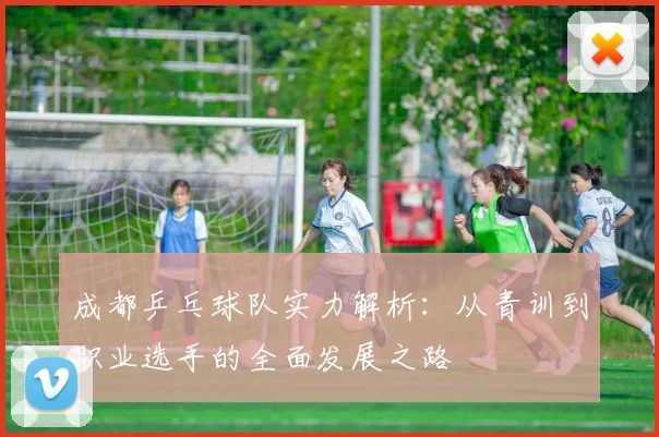 成都乒乓球队实力解析：从青训到职业选手的全面发展之路