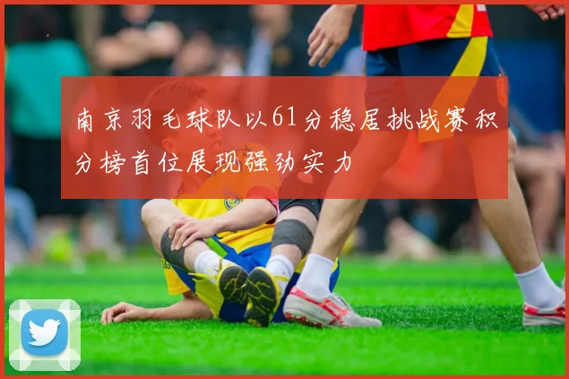 南京羽毛球队以61分稳居挑战赛积分榜首位展现强劲实力