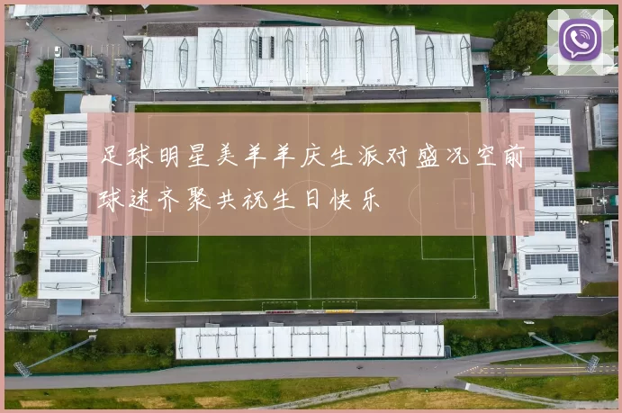 足球明星美羊羊庆生派对盛况空前球迷齐聚共祝生日快乐